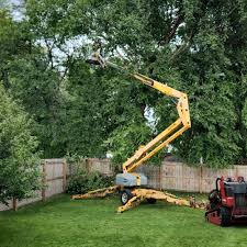 Lawn Grading and Leveling in Cherokee, NC